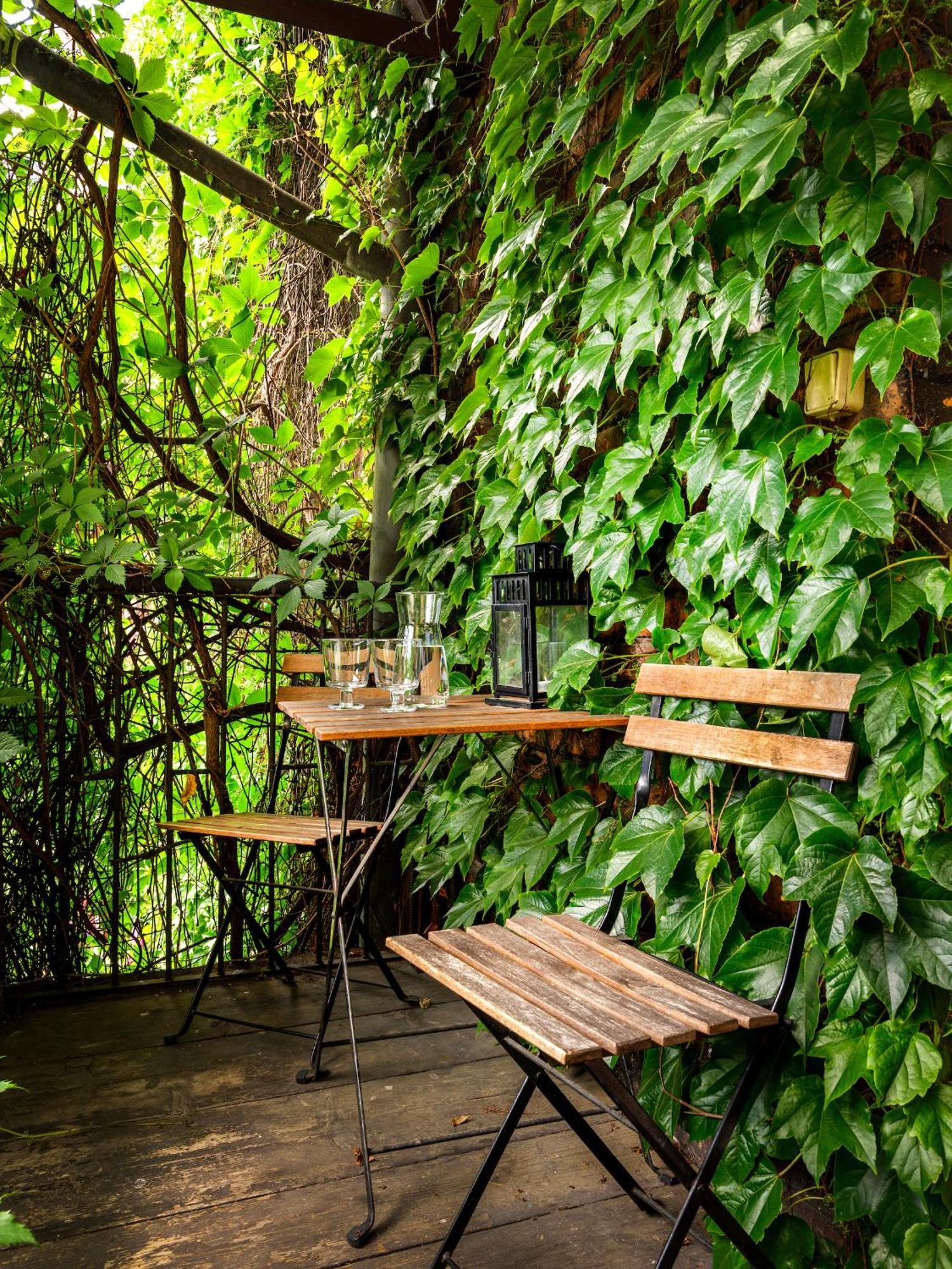 Tyzenhauz Grand Apartaments Красков Екстериор снимка